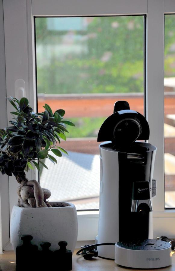 Gemuetliche Dachwohnung Mit Kleiner Oder Grosser Dachterrasse Nebeneinander Wolmirstedt المظهر الخارجي الصورة
